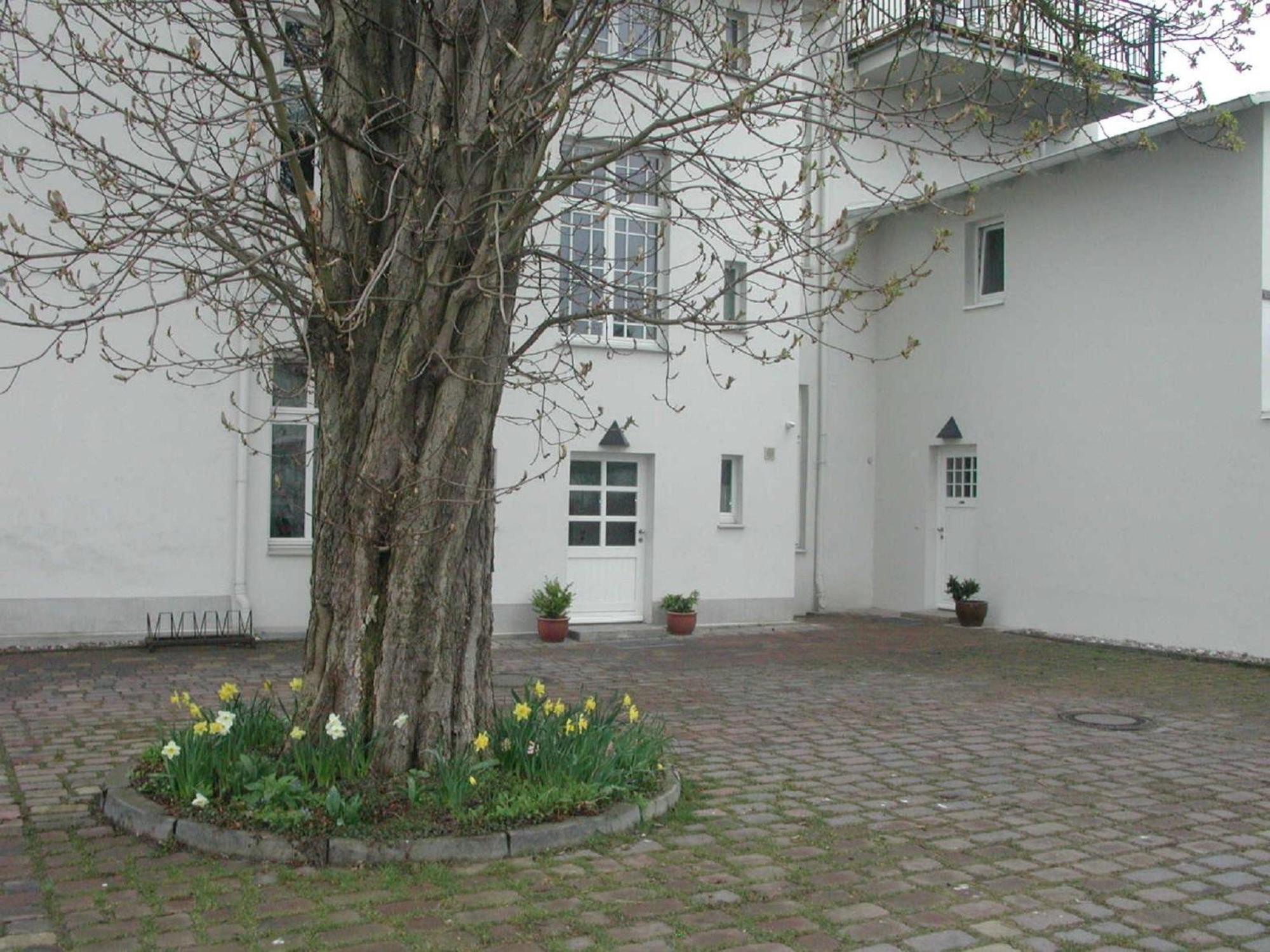 הרינגסדורף Villa Bismarckshoehe Wohnung Clara מראה חיצוני תמונה